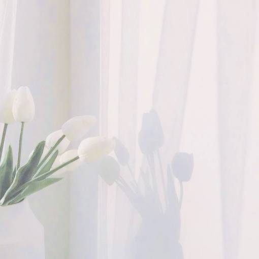Photo Widget ideas[mkL9RS6f8QR32TrBXqfO]