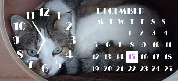 cat Clock Widget ideas[GToITFhqUHTbehVpCKnX]