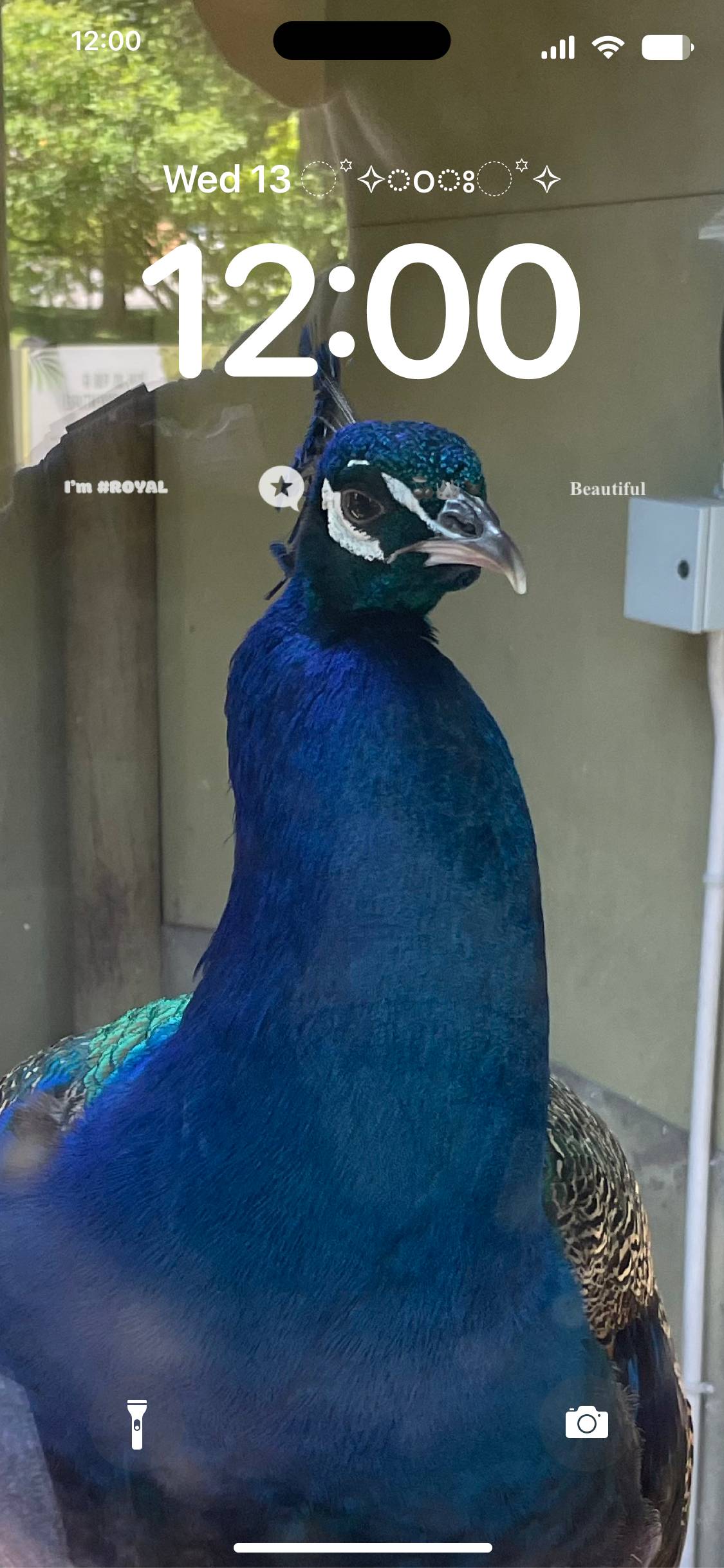 Peacock Royal Zamykací obrazovka[TgIT8ZaGELukVhKsh7zo]