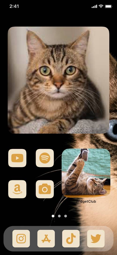 Cat Theme Ideen für den Startbildschirm[nwcaZpRNaKQsqU5wV3or]