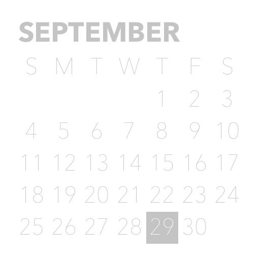 Calendario Ideas de widgets[L0sRLHSFtFUTGJLWUnJR]