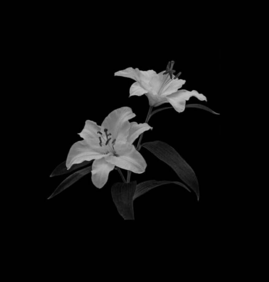 Black Memo Widget ideas[20YmMyeXh65NDU0v6Co7]