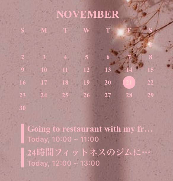Pink Calendar Widget ideas[G12KFgxW3VaVtERklg4O]