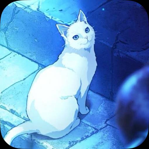 Photo Widget ideas[OSGJRowpONs1uTWjwCXx]