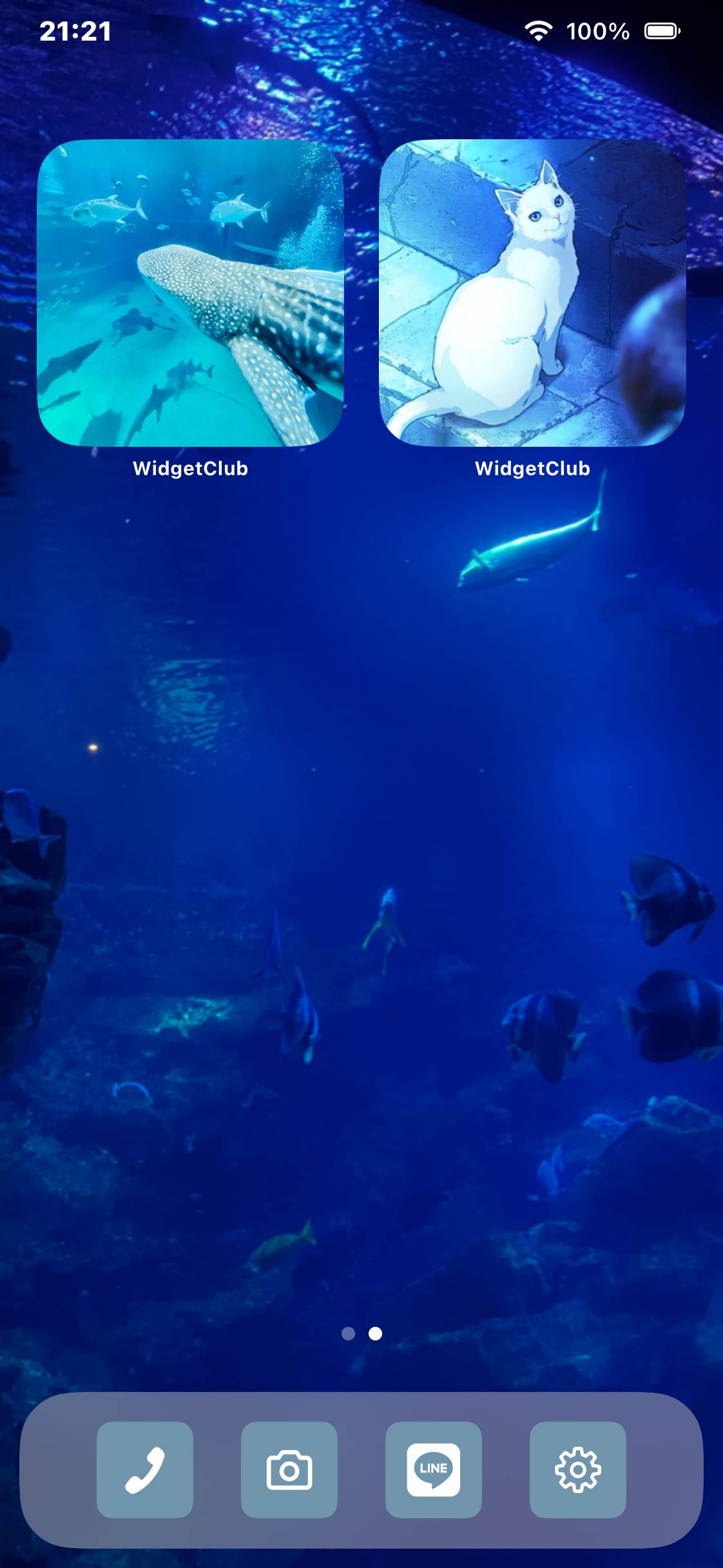 たななHome Screen ideas[OSGJRowpONs1uTWjwCXx]