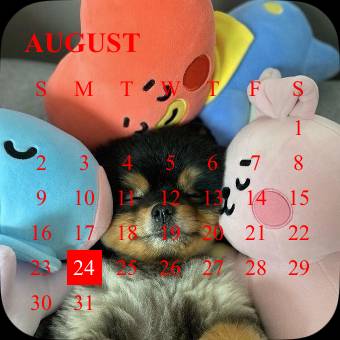 Pretty Calendar Widget ideas[JGWwGTa7MLCuIU6x7hlx]