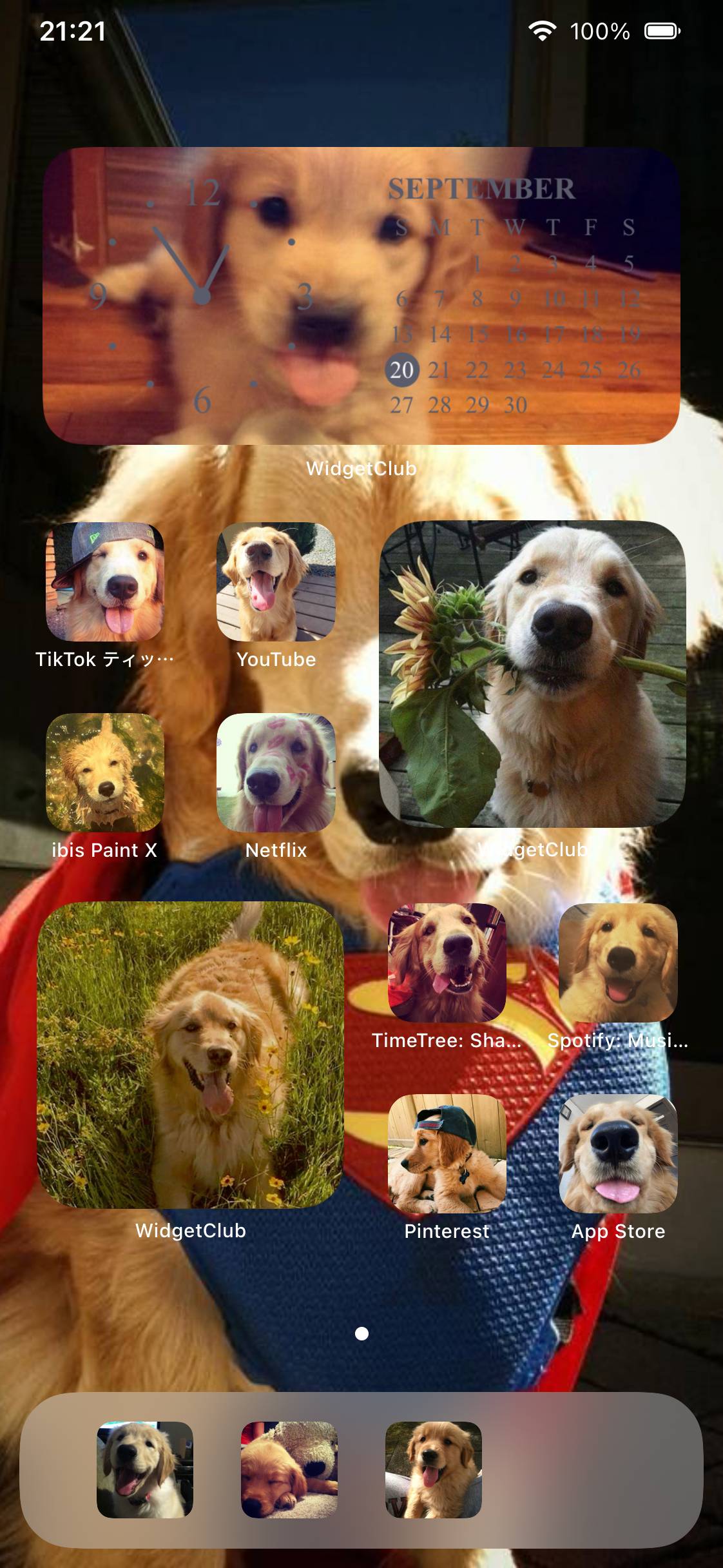 golden retrieverHome Screen ideas[NGostuLlsxaCbV9npKeS]