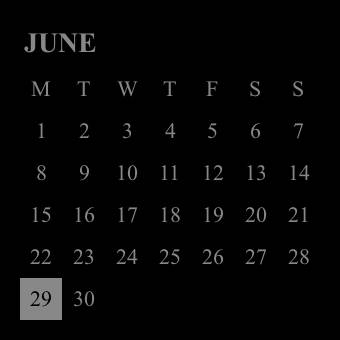 Calendar Widget ideas[PXuT3dOx6jdStIBQo0uU]