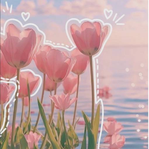Pretty Photo Widget ideas[jM3WXksW0a218bs0Birc]