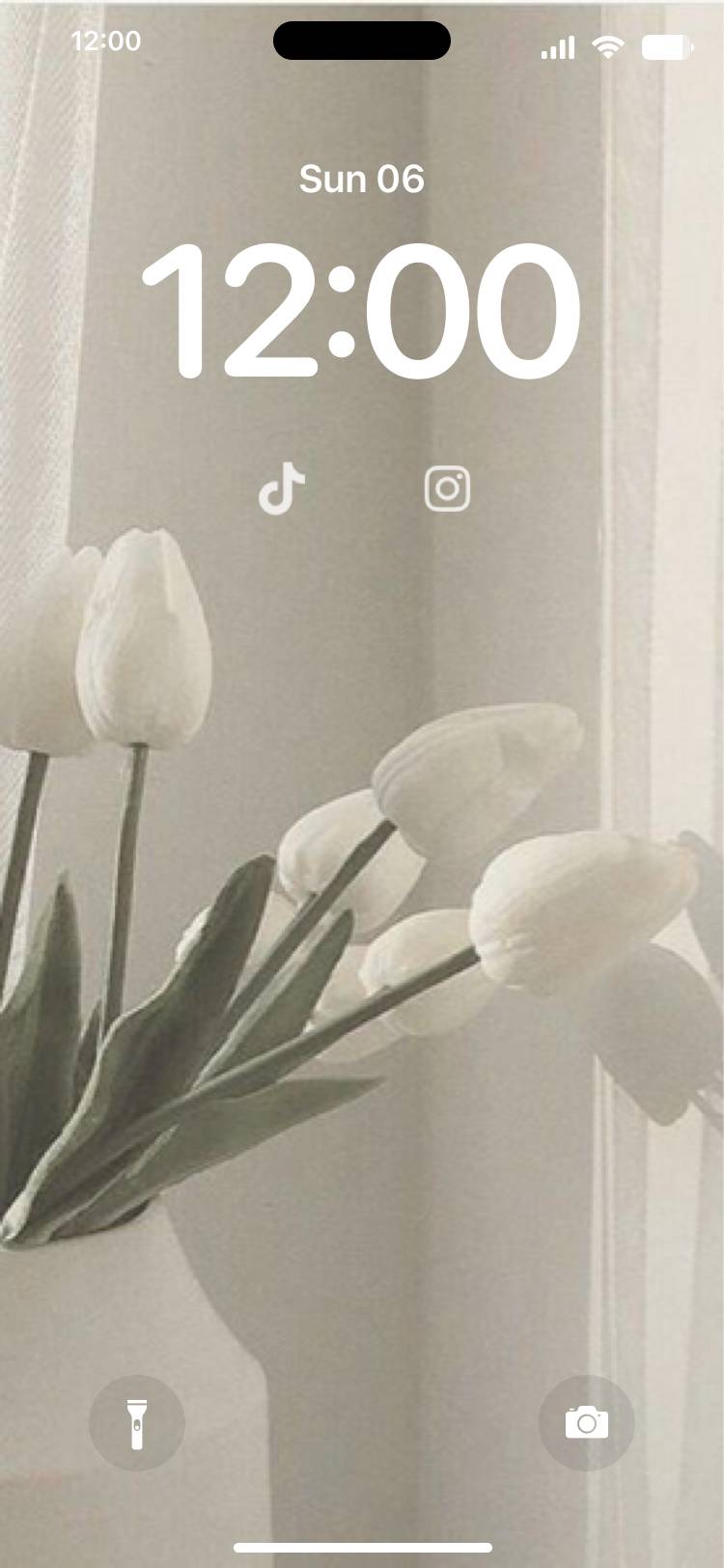 White TULIP 잠금 화면[DBsld2WmbcEErTyGuZSK]