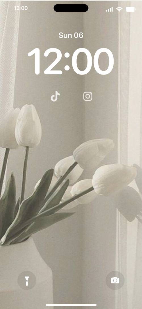 White TULIPBlocca schermo[DBsld2WmbcEErTyGuZSK]