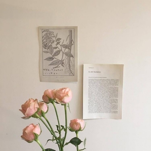 バラ (pink roses): Sự tươi sáng và quyến rũ của những đóa hồng tươi rực rỡ sẽ khiến bạn tò mò và muốn chiêm ngưỡng thật nhiều hình ảnh cùng chủ đề này.