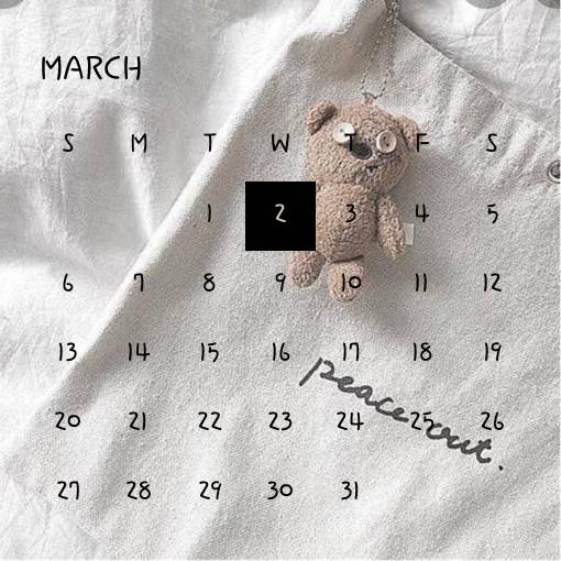 Calendar Widget ideas[fPirWgf6iwt5LW9dpeiM]
