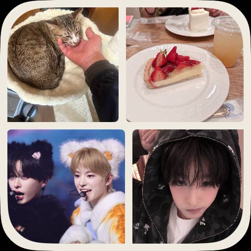 Photo Widget ideas[qgA6HExMmjaQuipDykBW]