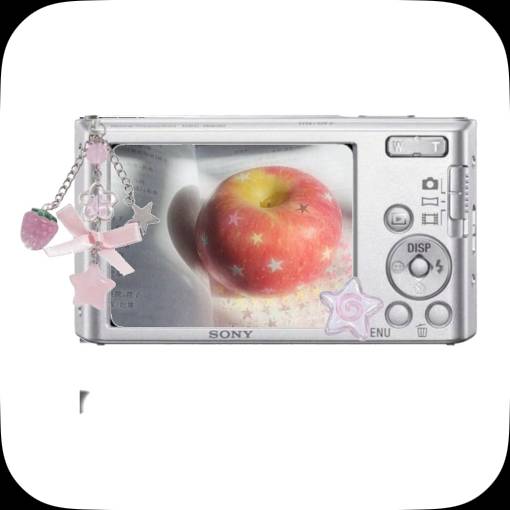 Pretty Photo Widget ideas[7btPbEVexXsdyBEKCNFr]