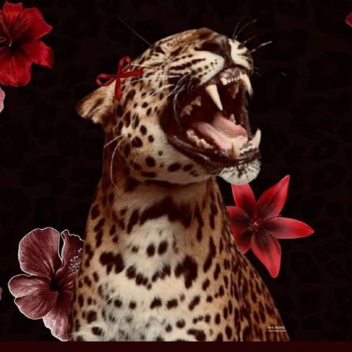 Фото Идеи виджетов[templates_xOnoCRIhiQ95RgWkoWd8_30067D42-F7C2-4B0E-B97F-66AC7A3A13B1]
