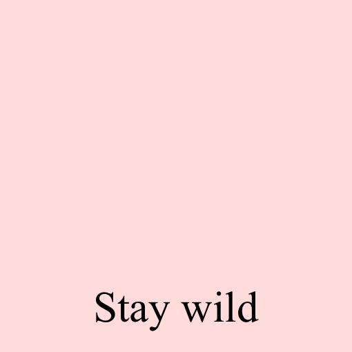 stay wild مذكرة أفكار القطعة[j9reky5i62SgCWwOZ9GN]