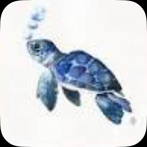 Photo Widget ideas[UND0Wi8BYeTOrdvpIk94]