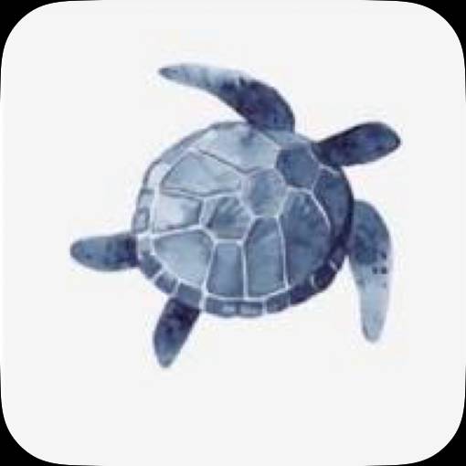 Photo Widget ideas[UND0Wi8BYeTOrdvpIk94]