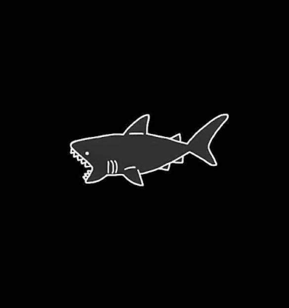 サメ🦈صورة أفكار القطعة[TALDWmP2rY4TNdM7kSd4]