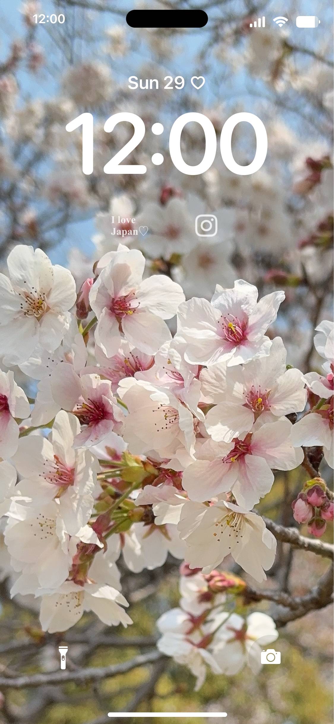 桜 מסך נעילה[pceek5h080GoMDx1ve37]