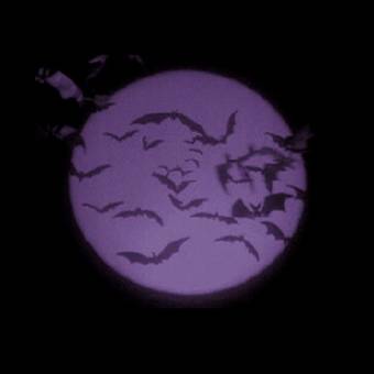 purple moon tấm hình ý tưởng widget[SRdh8W8WO2b75sbTZ5nz]