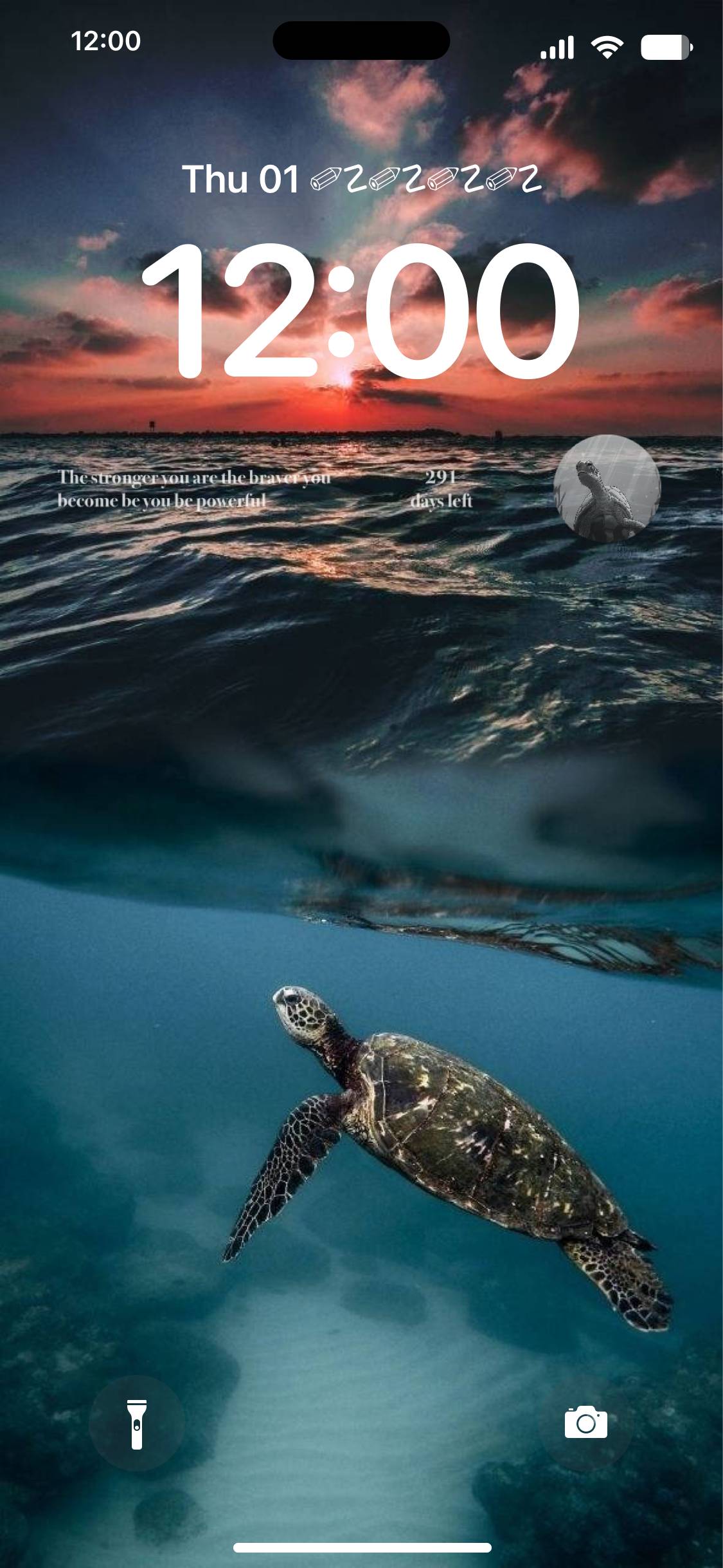 Sea Turtle Écran verrouillé[2FKfzx19Tg9TZGcxJuqL]