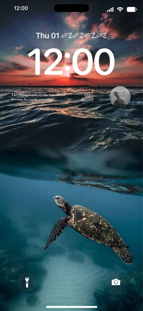 Sea Turtle ロック画面[2FKfzx19Tg9TZGcxJuqL]