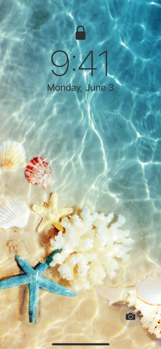 summer × shellfishΙδέες για την αρχική οθόνη[VeX1hLoHVETMN182EW0W]