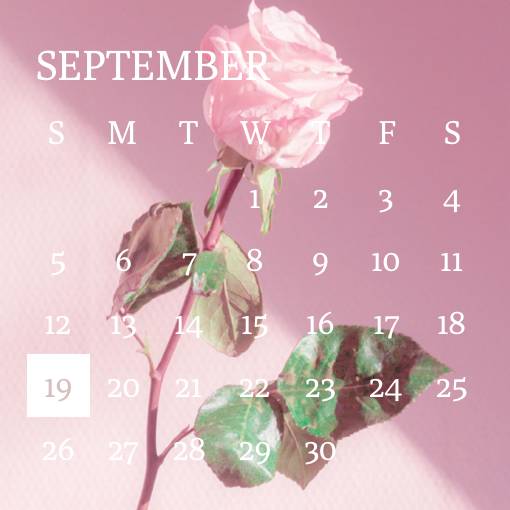 rose calendar widgetカレンダーウィジェット[hViqssWgd5k25eevuO9A]