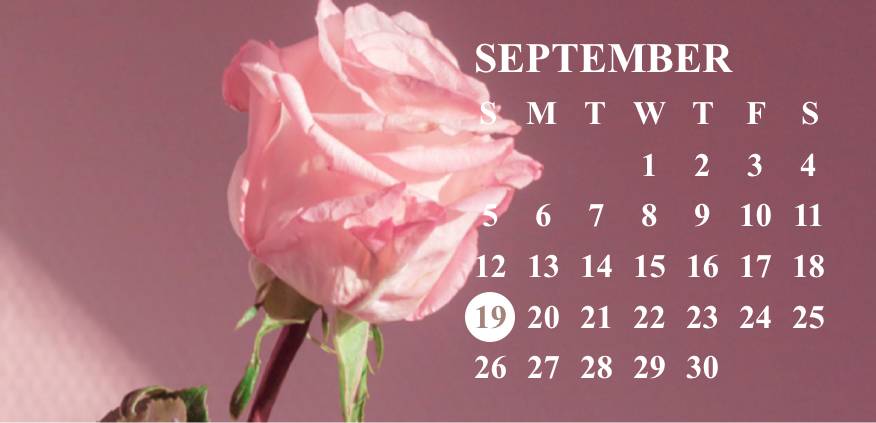 rose calendar Kalendarz Pomysły na widżety[HpyHawkVvYnCWEsVUloh]