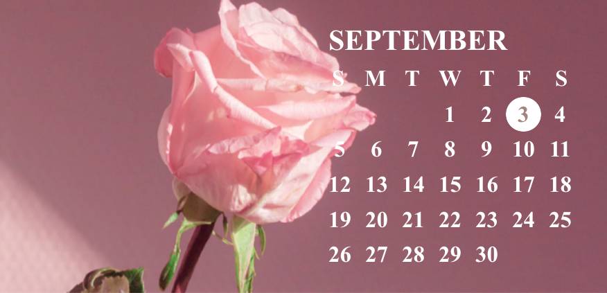 Pink Calendar Widget ideas