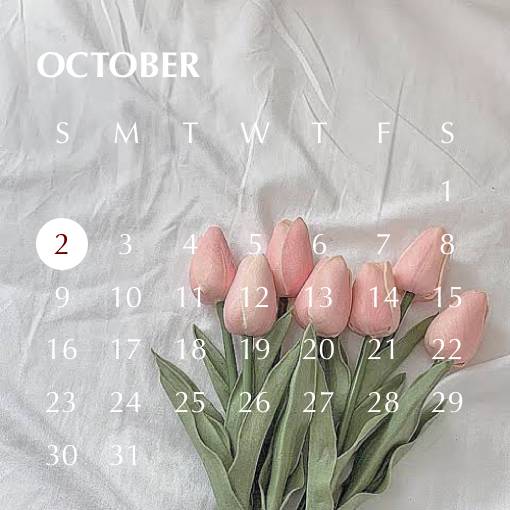 🌷 Calendar Widget ideas[gjfgD0rlv6J9oIoXBC3r]