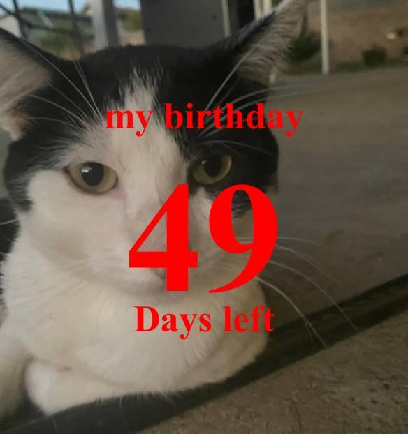 Birthday Countdown Widget ideas[IkYSEUboOY9MaakCZUFG]