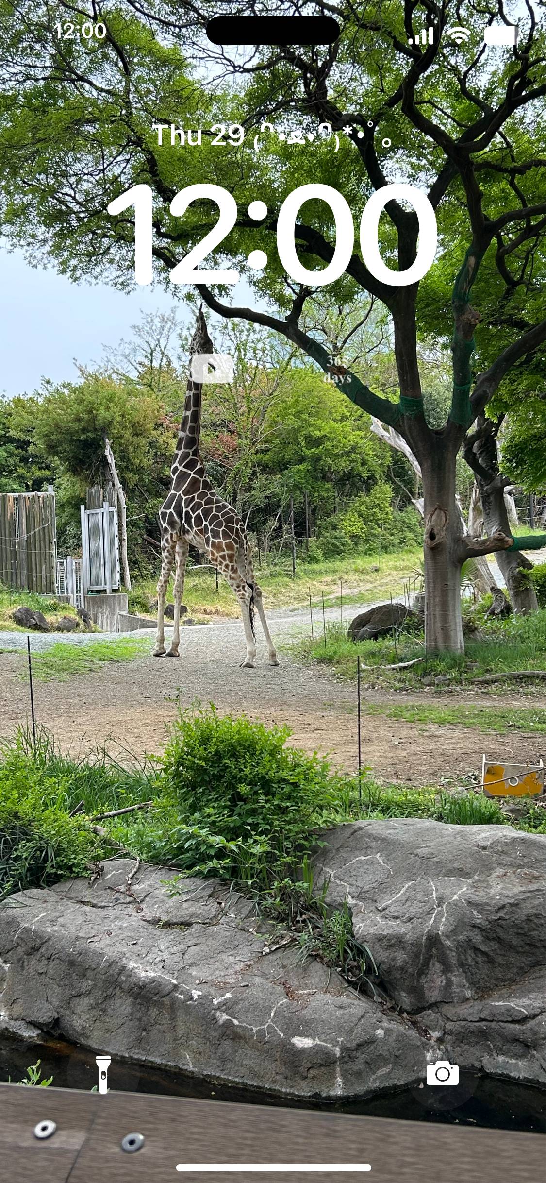 動物園 Zamykací obrazovka[2DedIJgj8ZXNkxAfhjR6]
