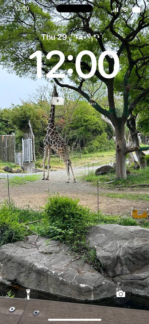 動物園Zamykací obrazovka[2DedIJgj8ZXNkxAfhjR6]