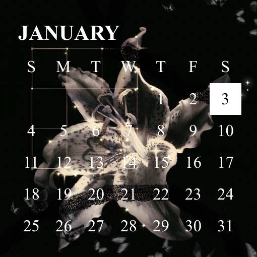 Black Calendar Widget ideas[X1zTU1fAYjthn9b1PSUN]