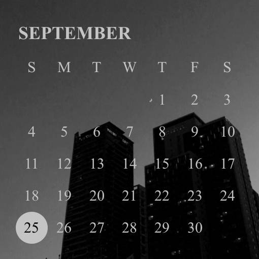 Calendar Widget ideas[h0XhALC4inkqARIxjipK]