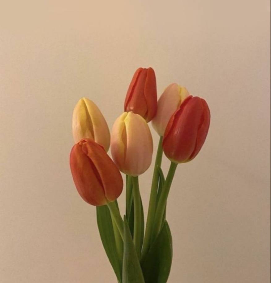 Fashionable Photo Widget ideas[effqibpJtYPBpDnBIhvB]