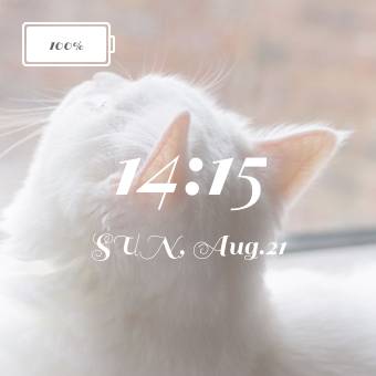 Aika Widget-ideoita[N1RQaP56LcovjrAQDTER]