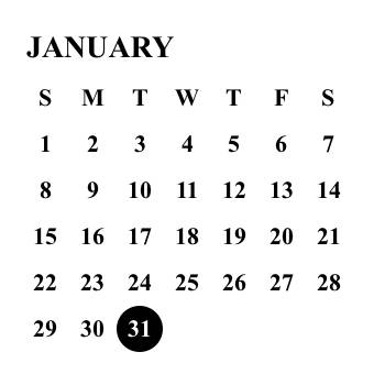 🤍🤍🤍 Calendar Widget ideas[ro5jsKDKx6dXkORERabQ]
