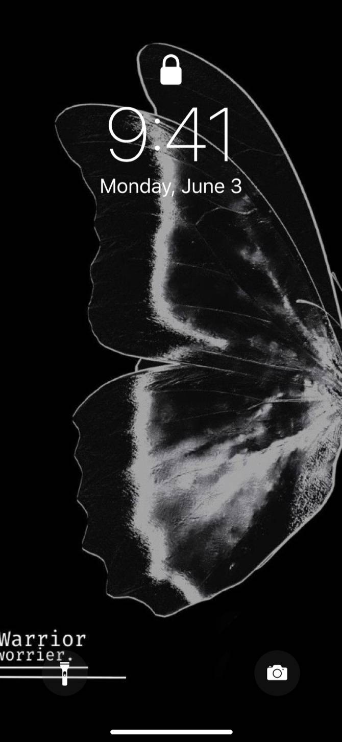 black butterfly主屏幕創意[hXcPtGpFHgdEpAW5OvHj]