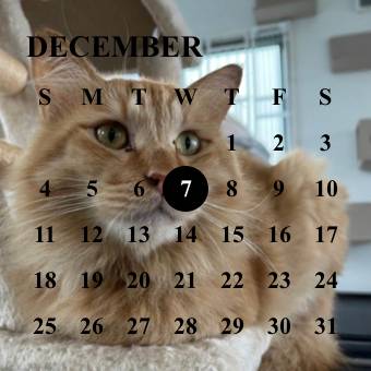 ねこ Calendário Ideias de widgets[Az4wBJSRDC2XnbteZMX9]