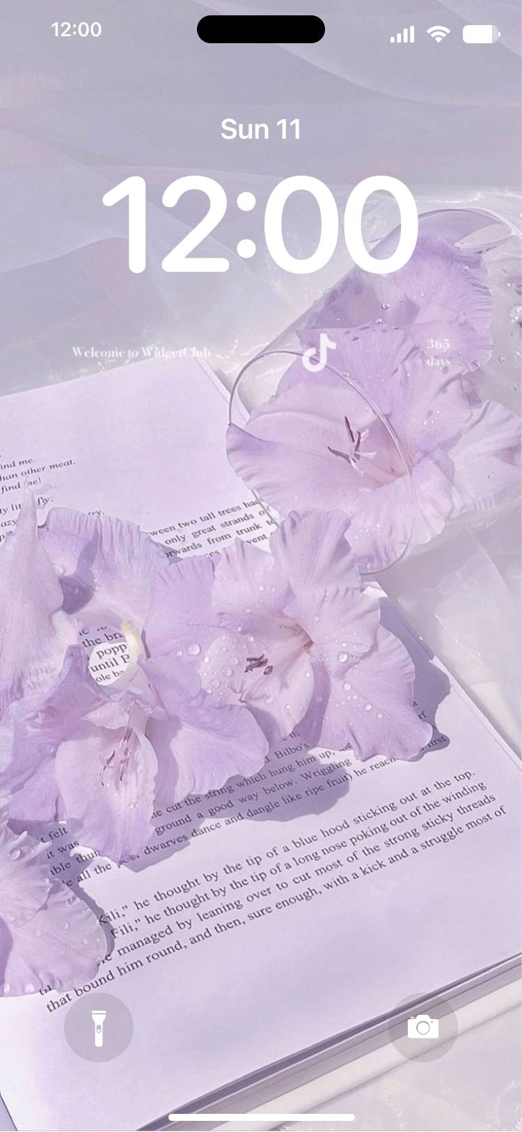 紫色的 鎖屏[EjhjeaaTlvD1UYuUYkmo]