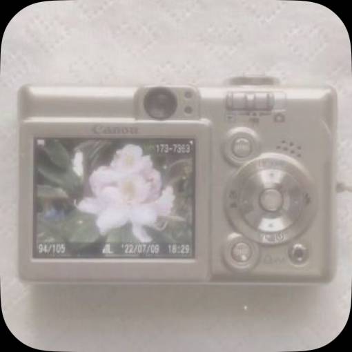 Pretty Photo Widget ideas[wivfWIYkr6FtVdxMsFdy]