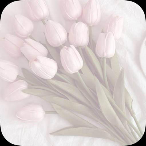 Pretty Photo Widget ideas[wivfWIYkr6FtVdxMsFdy]