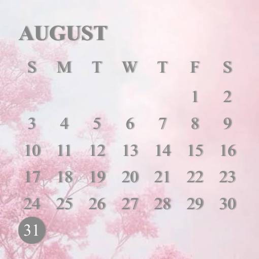 Pretty Calendar Widget ideas[ADEGMxargdAX3kI8tofx]