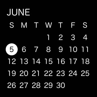 Calendar Widget ideas[9c5TReDXrO3wifXqVSJ5]