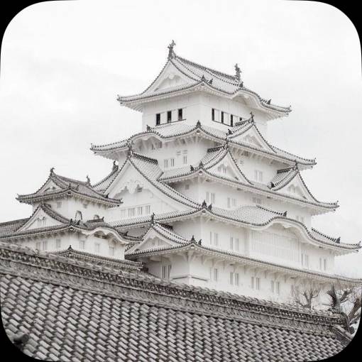 Photo Widget ideas[e9kW9hBapUNkmQ5E6YQh]
