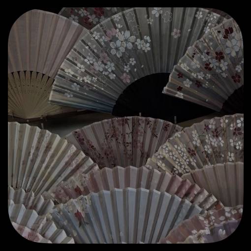 Photo Widget ideas[e9kW9hBapUNkmQ5E6YQh]